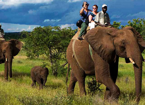 Best Holiday Packages in India 