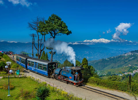 Best Holiday Packages in India 